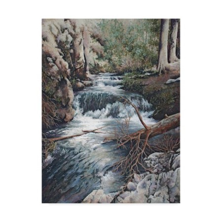 Carol J Rupp 'Clear Creek' Canvas Art,14x19 -  TRADEMARK FINE ART, ALI39902-C1419GG